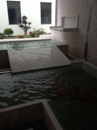 伟翔环保绿化景观